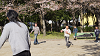 hana26 (264)_thumb.png